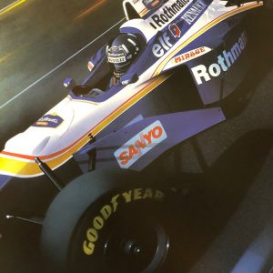 1996 - Damon Hill World Champion