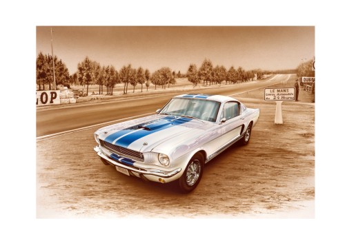 1966 - Shelby Mustang