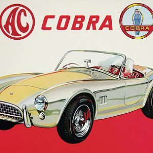 AC Cobra 5.0 L V8 302 c1993 Brillant sales brochure prospekt 