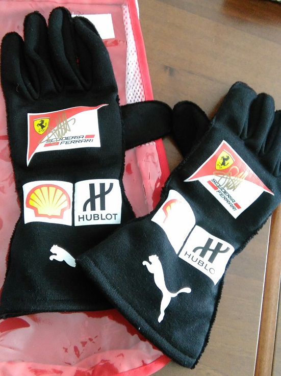 vettel gloves