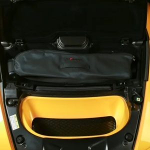 laferrari-aperta-hood