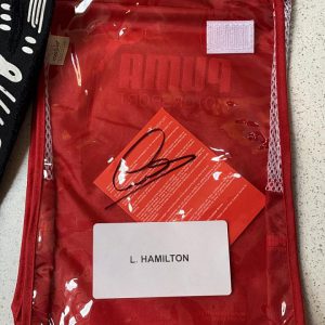 2021 Lewis Hamilton Mercedes GP original Hungary racing gloves - signed