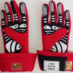 2023-CL-Las-Vegas-Demo-gloves (3)