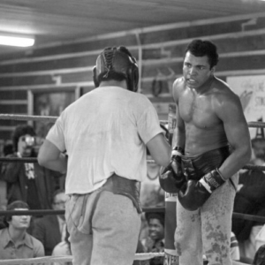 American professional boxer Muhammad Ali at his training camp ahead of his fight with George Foreman, Deer Lake, PA, August 1974. Here Ali practices his ‘rope-a-dope’ plan, where he would tire his opponent out in order to deliver a knock-out.