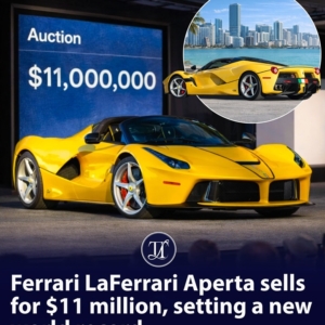 laferrari-aperta-record