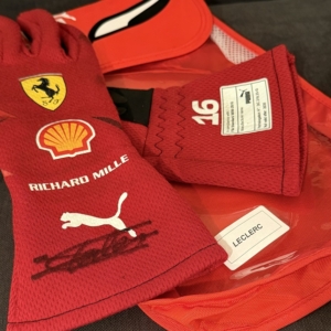 2025-CL-LV-glove-det