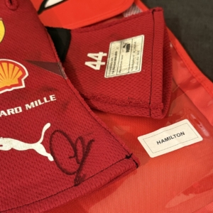 2025-LH-LV-glove-det