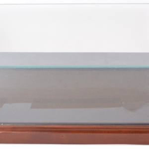 1-8-1967-Eagle-case (1)