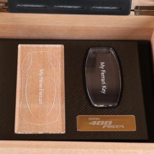 Humidor-Type-488-With-Chrome Model-Lot- 822 (2)